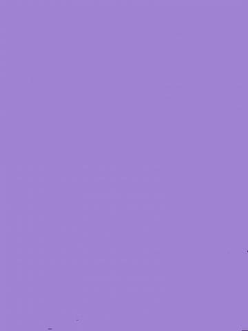 Камилла Реал Красотка Брюнетка фото 2